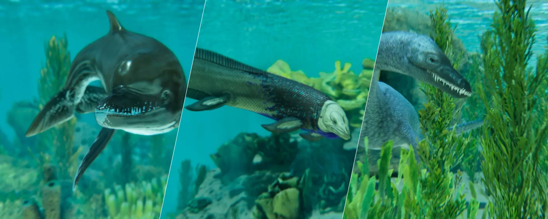 Additional Creatures: Aquaria — Additional Creatures: Aquaria screenshots 1–3