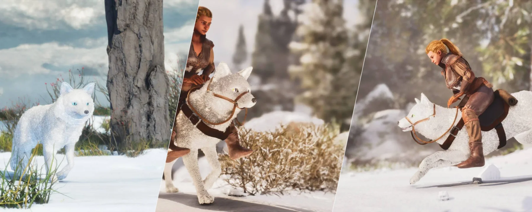 Feras Fauna: Foxes — Feras Fauna: Foxes screenshots 1–3