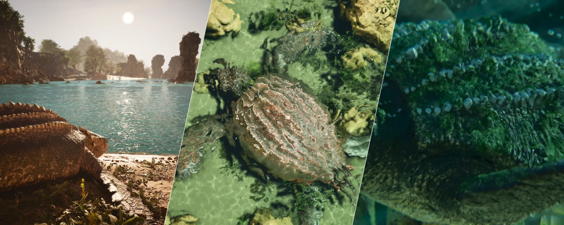 Additions Ascended: Archelon — Additions Ascended: Archelon screenshots 1–3