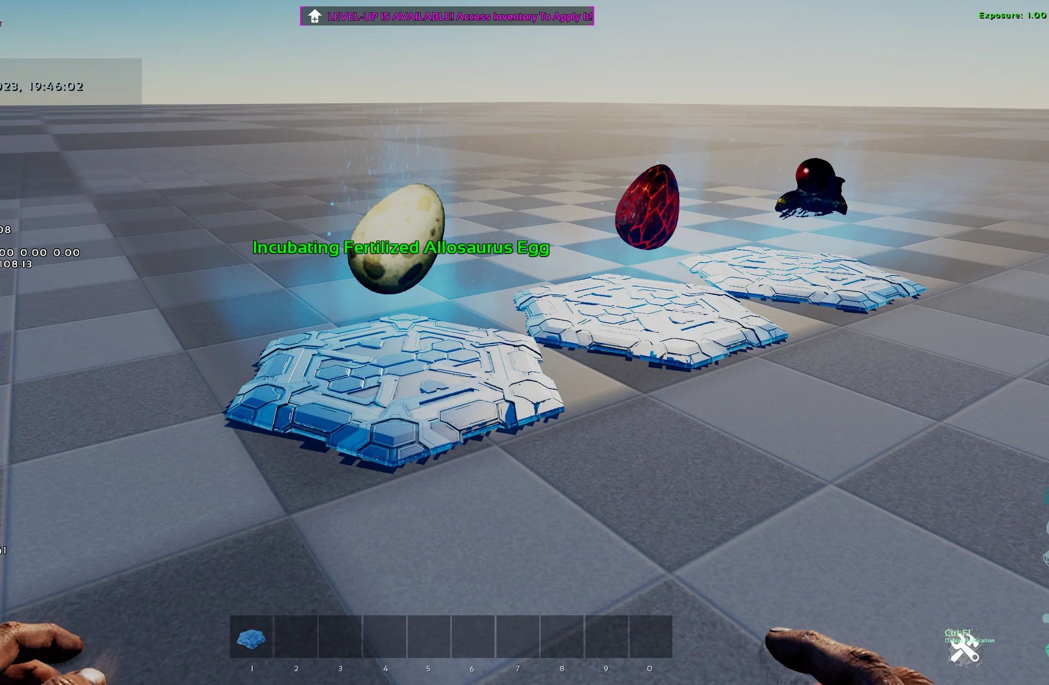 Egg - Incubator (Discontinued) — Incubating eggs