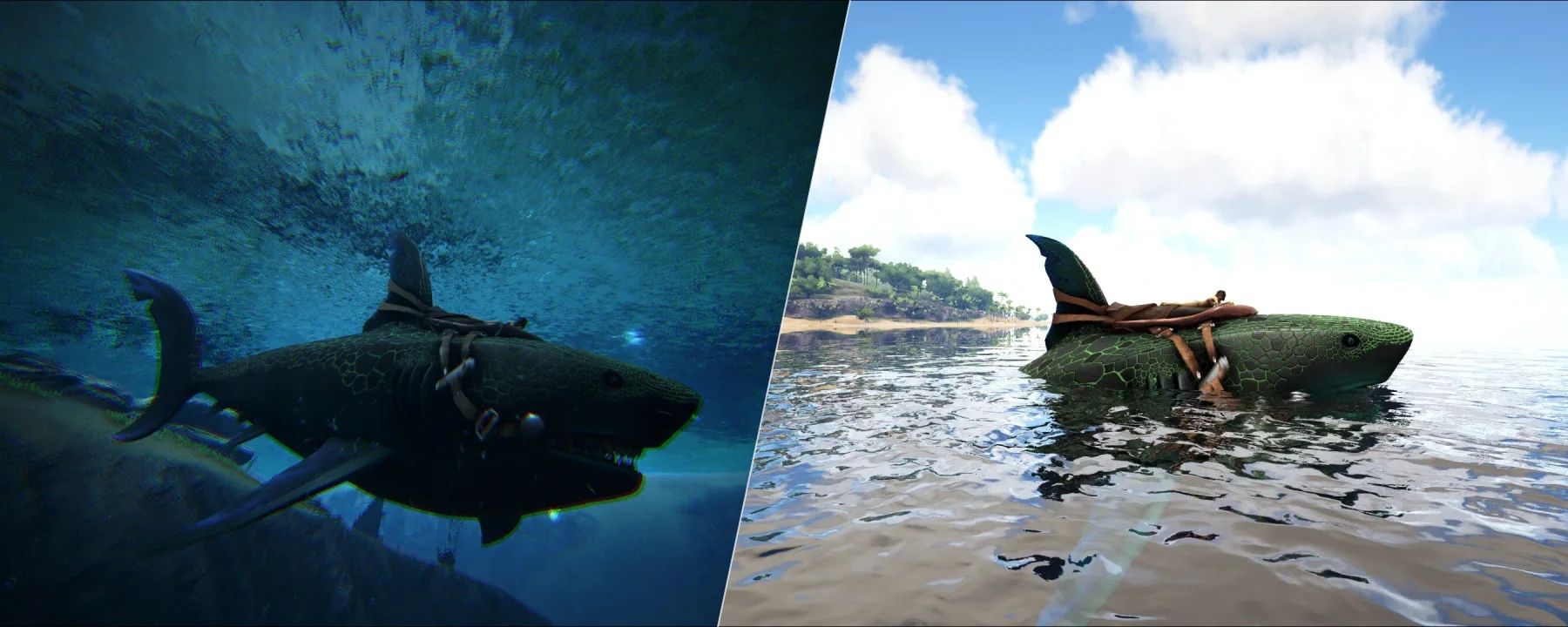 RR-Otodontidae Sharks — RR-Otodontidae Sharks screenshots 1–2