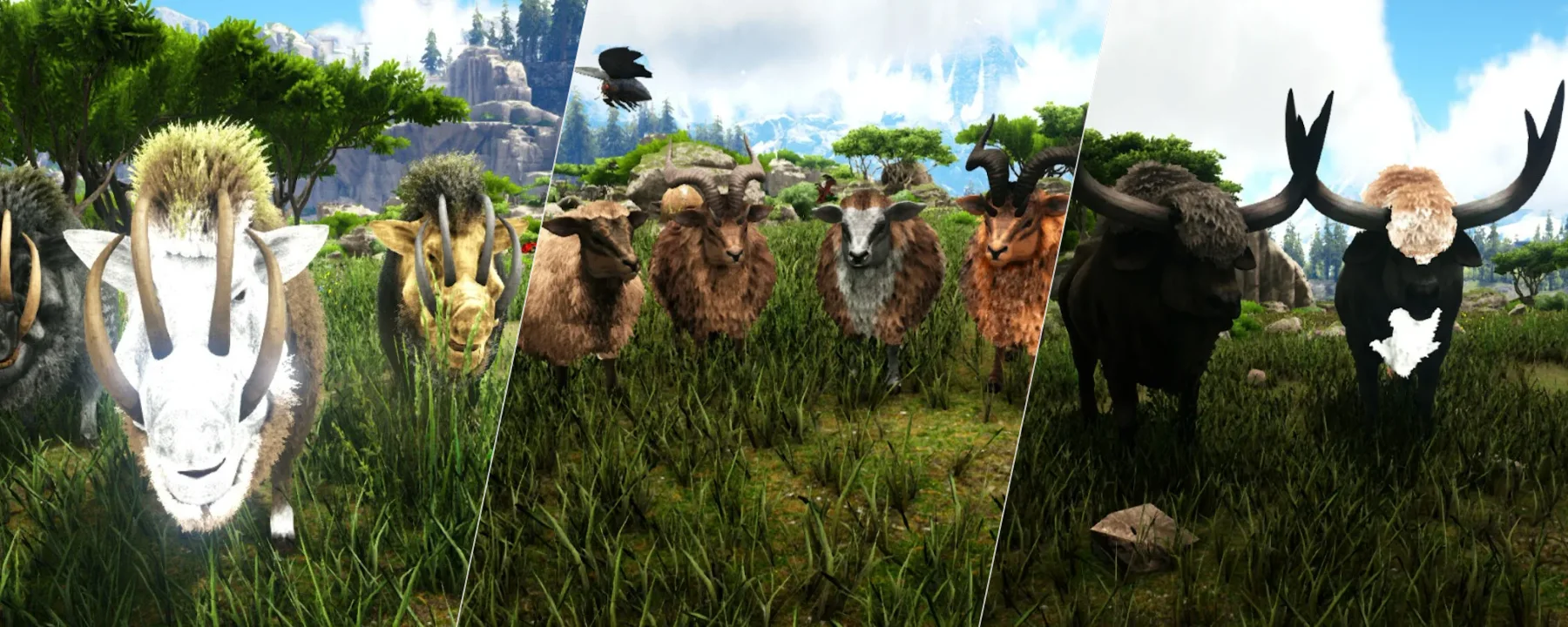 RR-StarFarmAnimals — RR-StarFarmAnimals screenshots 1–3