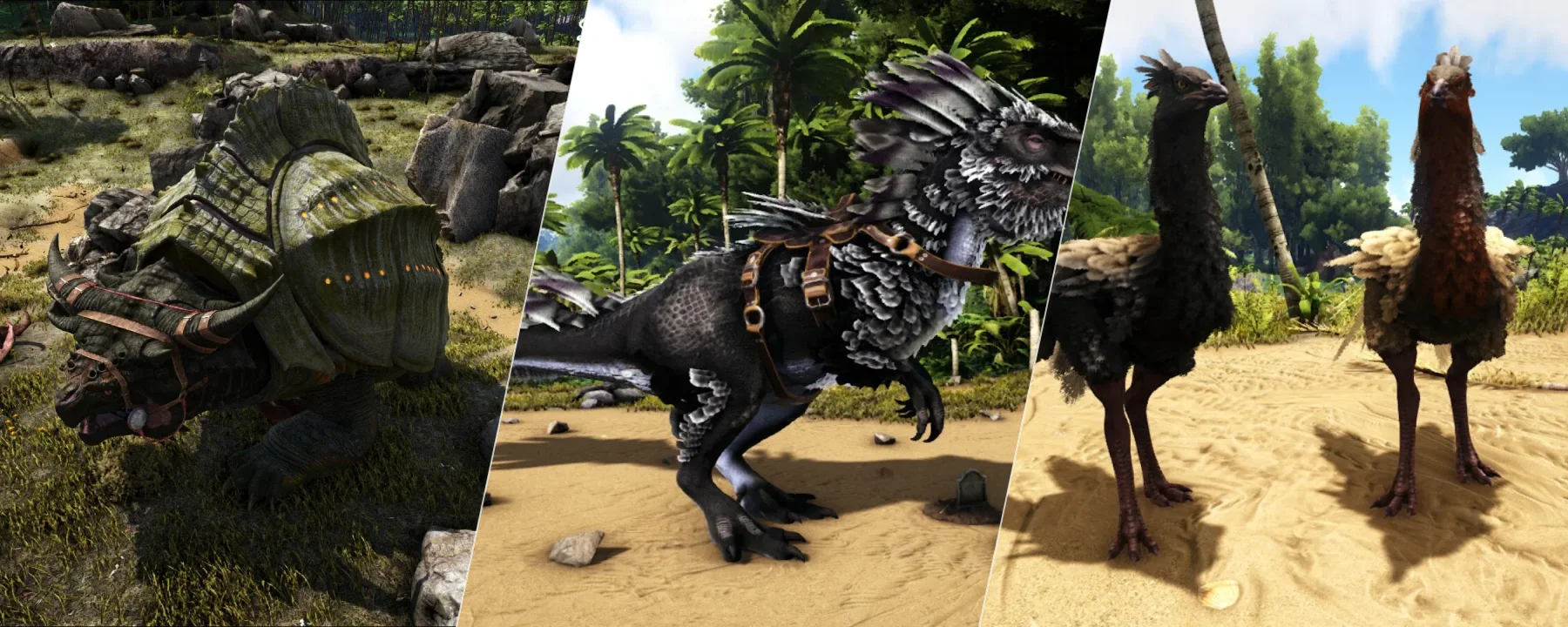 RR-StarAnimals — RR-StarAnimals screenshots 1–3