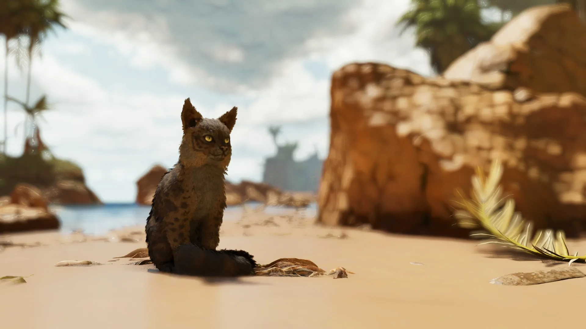 Atlas Creatures: Felis — Felis