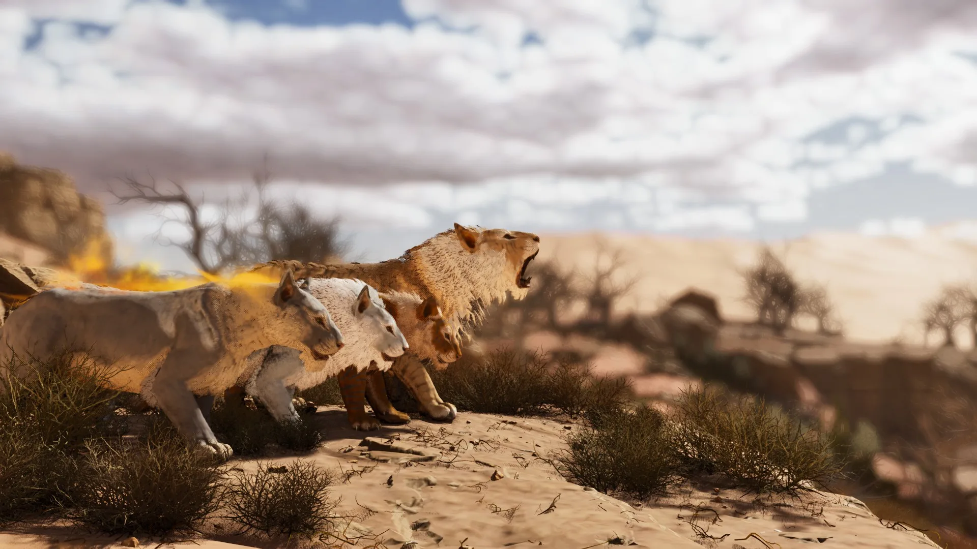 Atlas Creatures: Big Cats — Big Cats