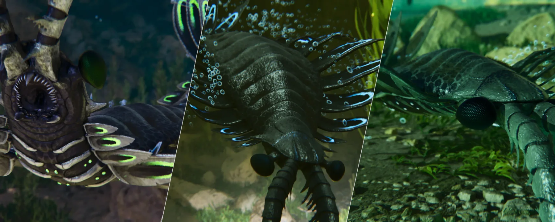 Additions Ascended: Anomalocaris — Additions Ascended: Anomalocaris screenshots 1–3