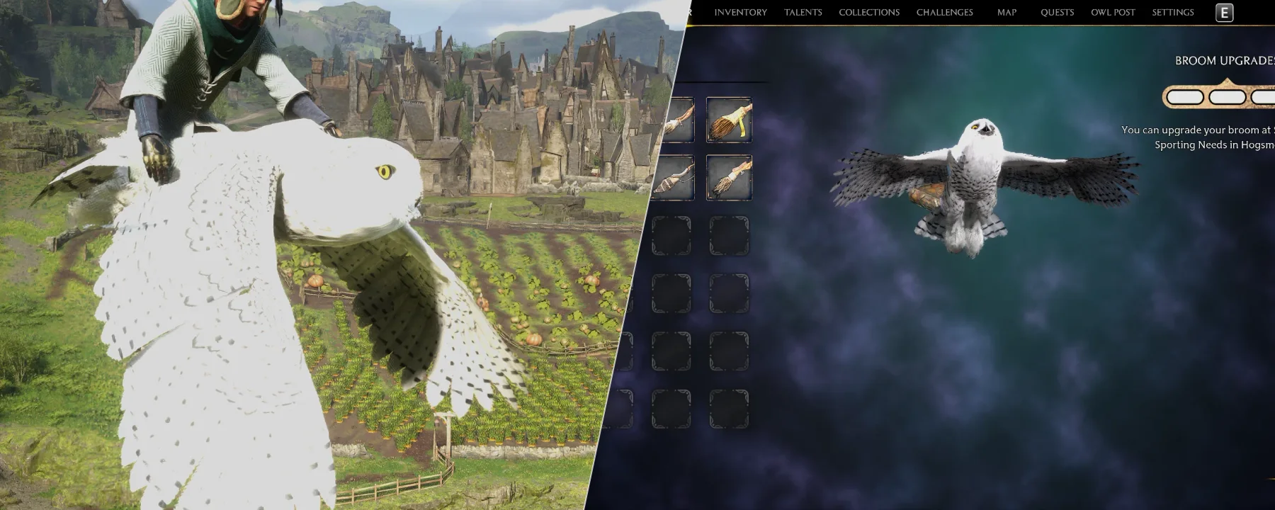 Snow Owl Broom — Snow Owl Broom screenshots 1–2