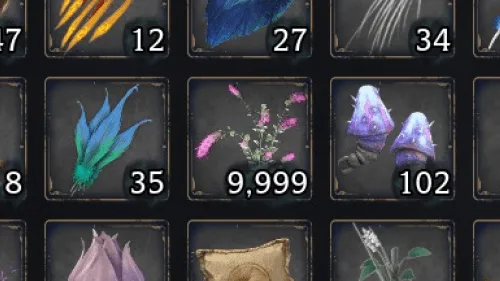Increased Potion/Resource Capacity — Capacity
