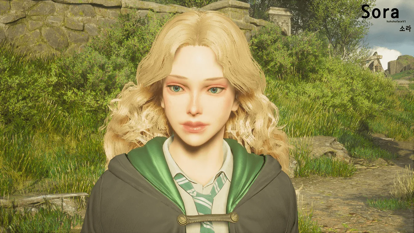 Hohoho Face - Sora screenshot 1