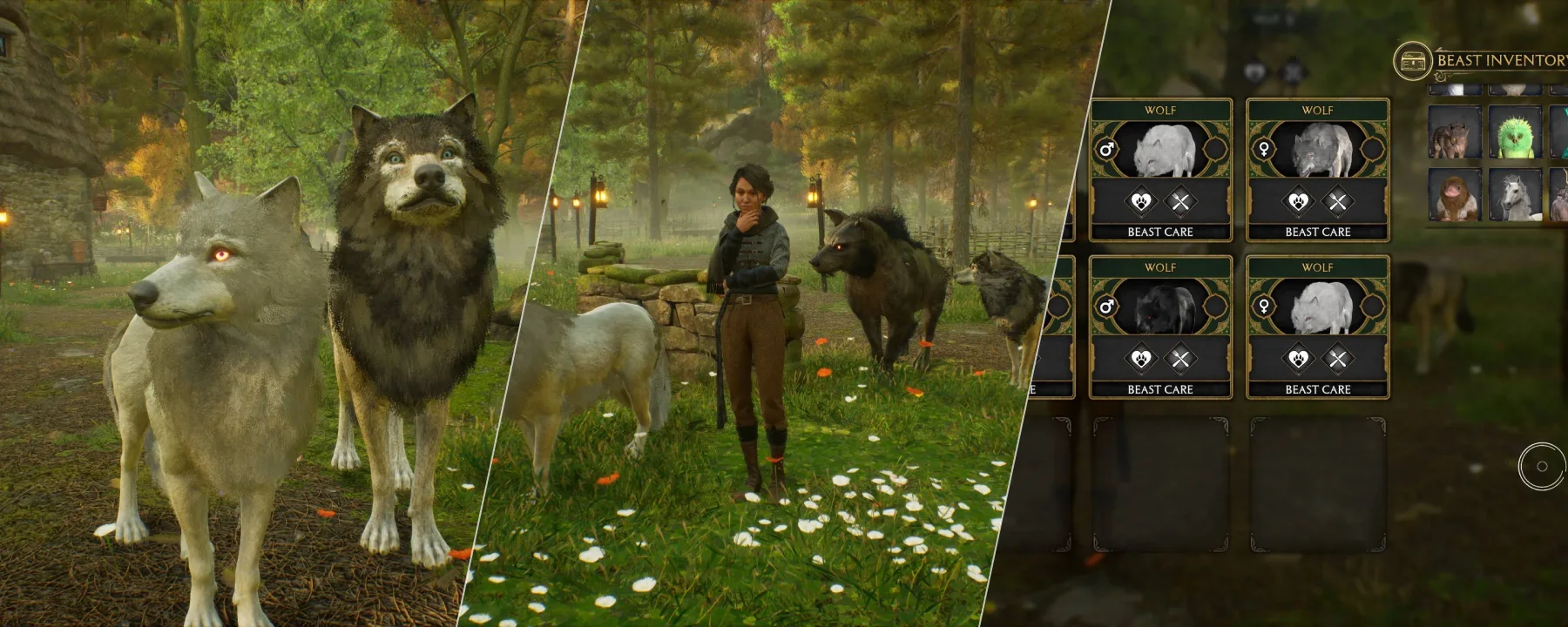 Wolf Beast Den — Wolf Beast Den screenshots 1–3
