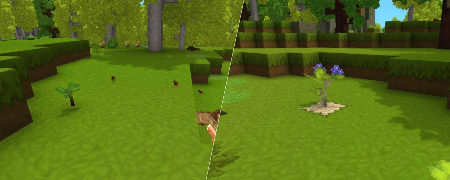 Improved Saplings — Improved Saplings screenshots 1–2