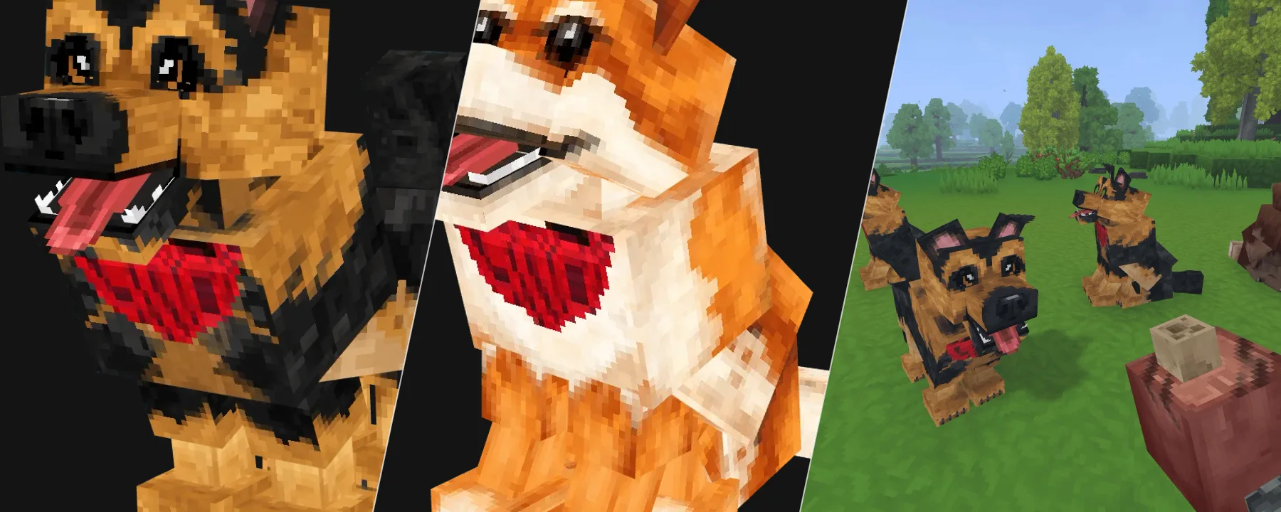 Dogs Companion — Dogs Companion screenshots 1–3