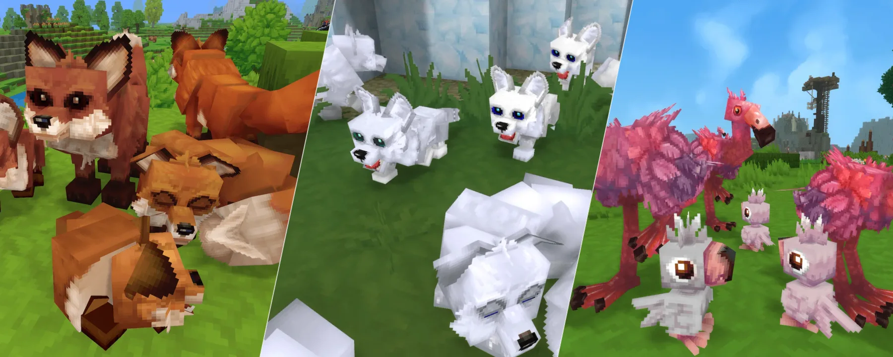Celly's Baby Animals — Celly's Baby Animals screenshots 1–3