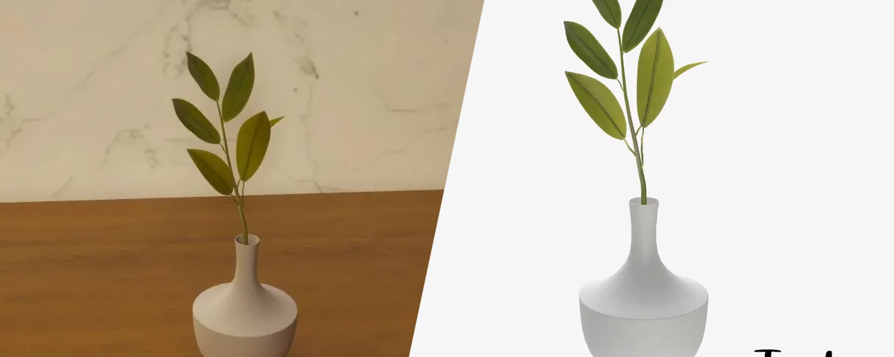 Eucalyptus in vase — Eucalyptus in vase screenshots 1–2