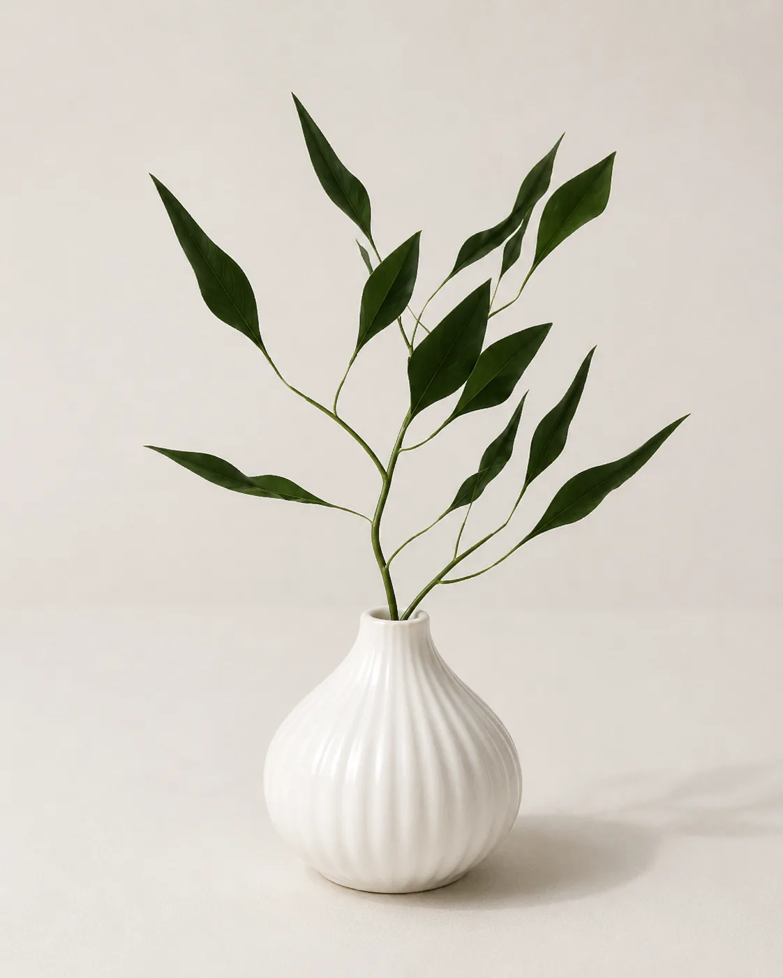 Vase And Plant [VZ] — img