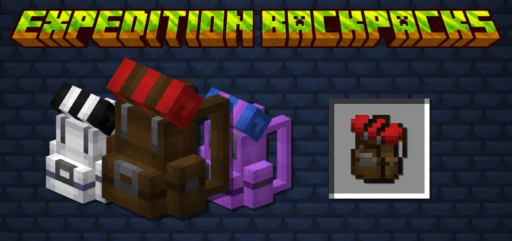 Expedition Backpacks — MCPEDL