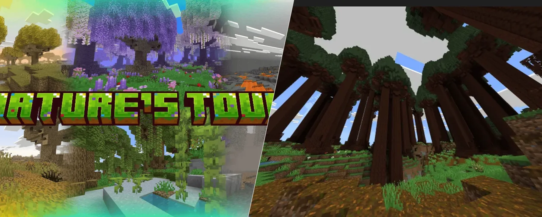 Nature's Touch (20+ New Biomes + Biome Reworks) — Nature's Touch (20+ New Biomes + Biome Reworks) screenshots 1–2