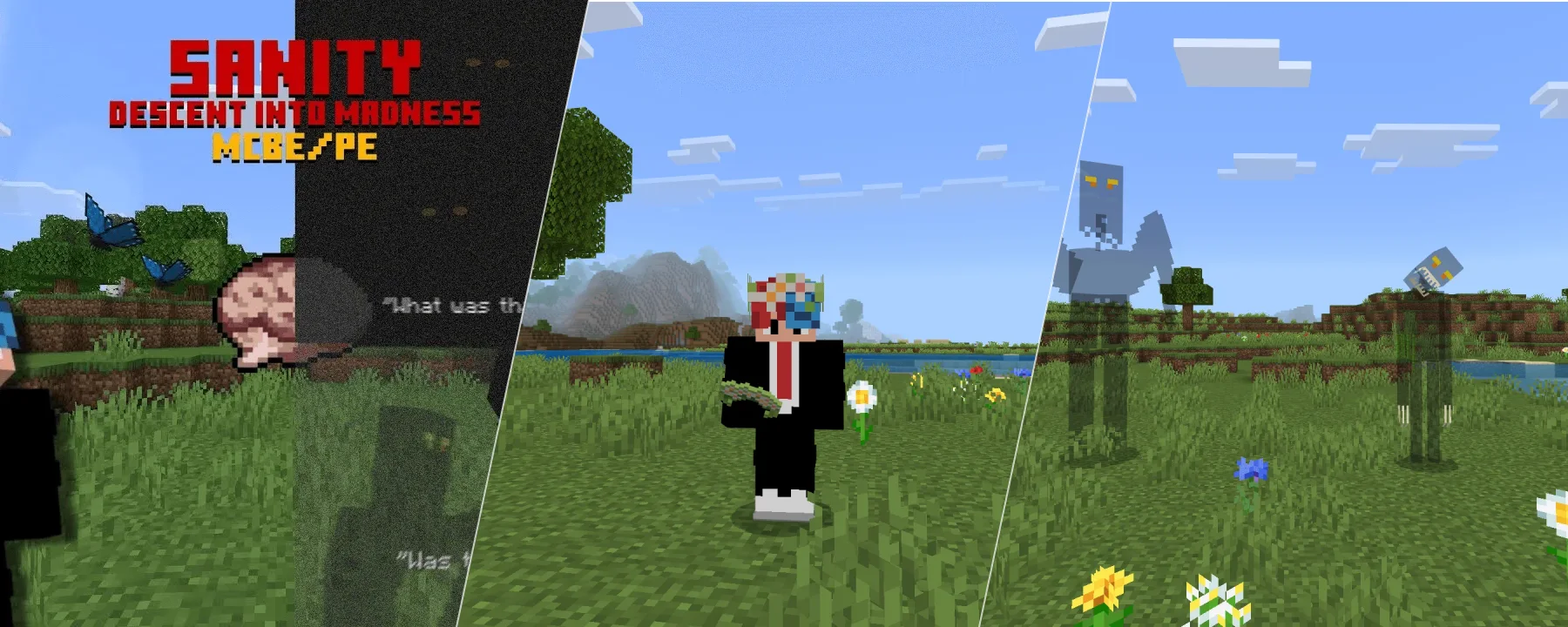 Sanity: Descent Into Madness | Bedrock - 100% Accurate to Java — Sanity: Descent Into Madness | Bedrock - 100% Accurate to Java screenshots 1–3