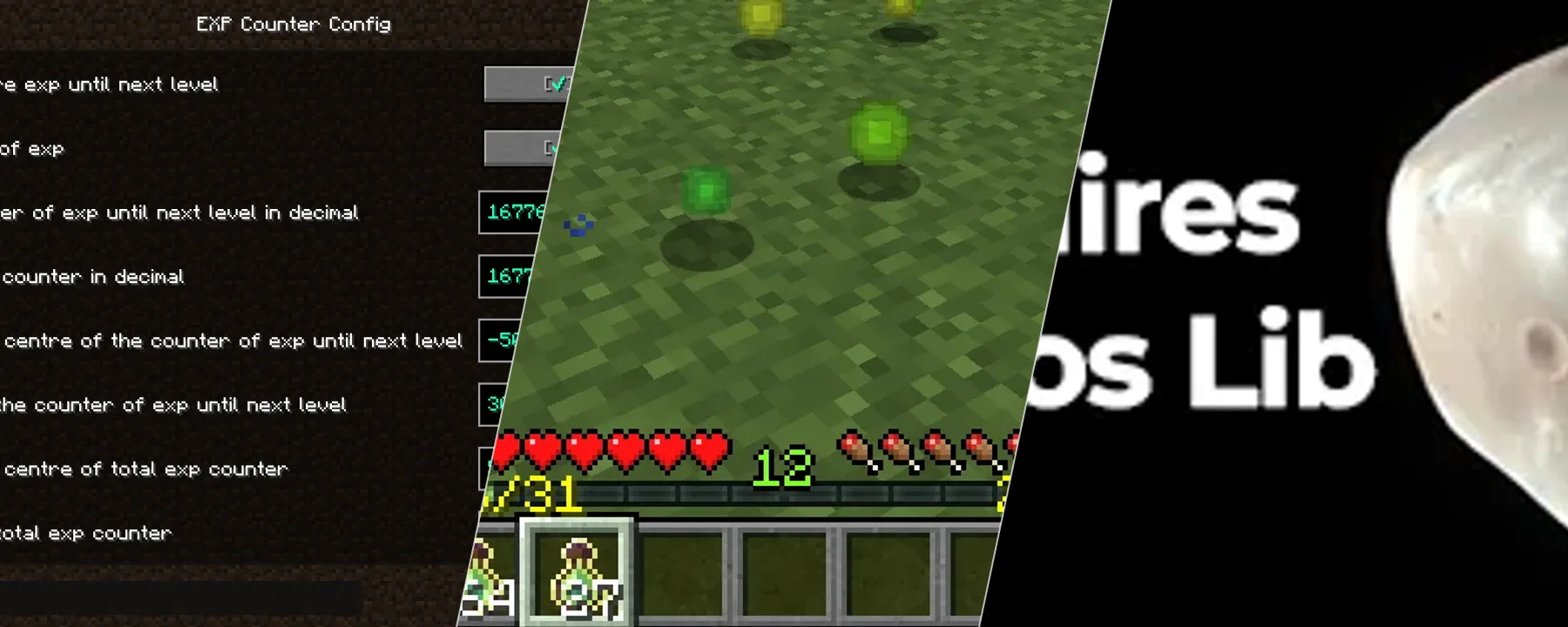 EXP Counter [Fabric/Forge/NeoForge] — EXP Counter [Fabric/Forge/NeoForge] screenshots 1–3