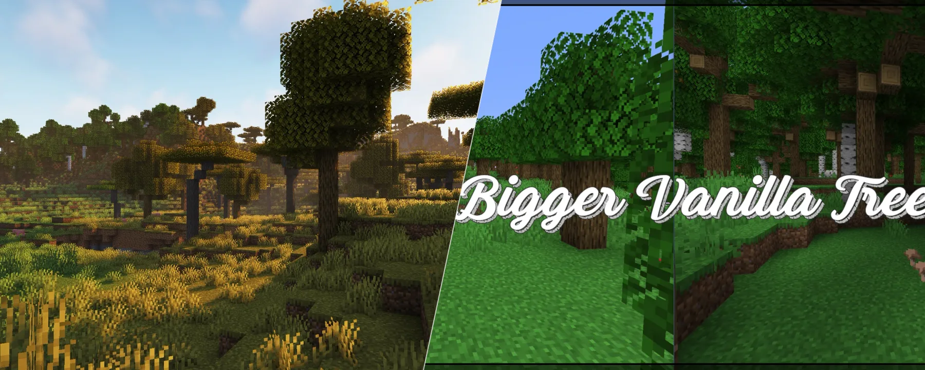 Bigger Trees — Bigger Trees screenshots 3–4