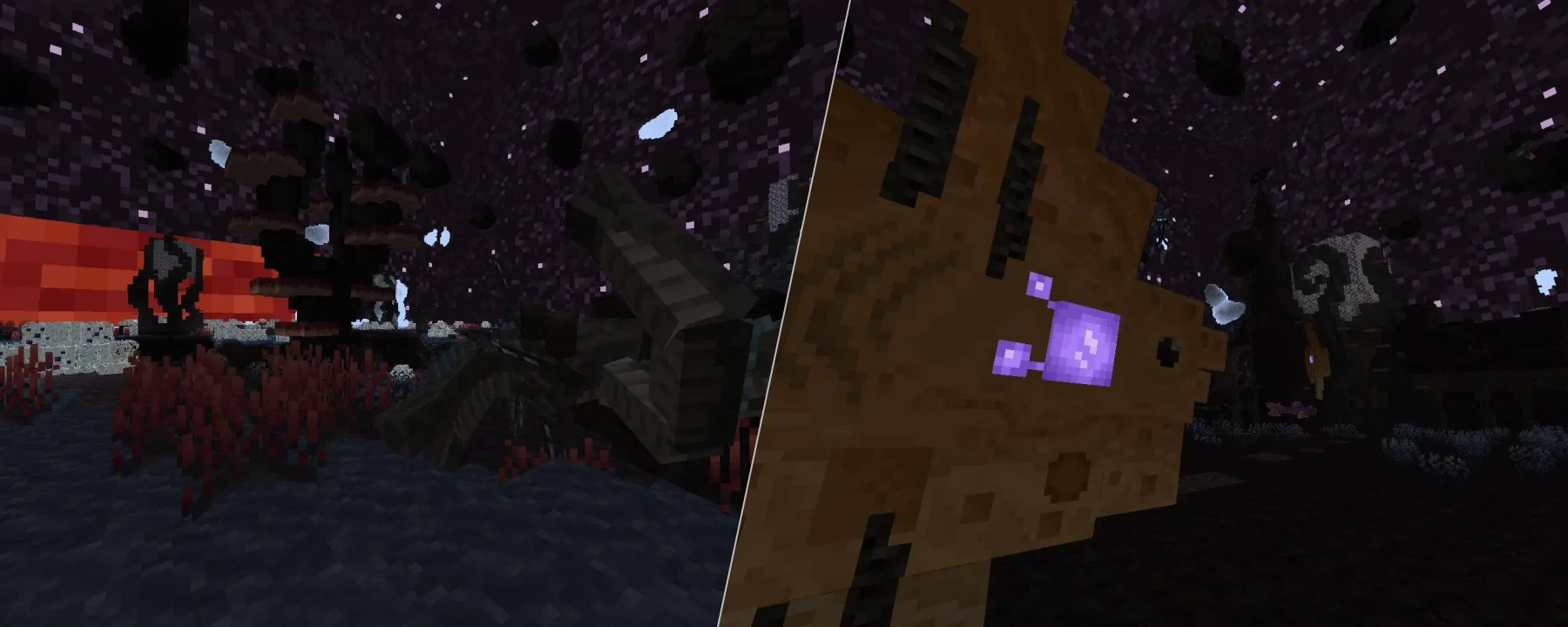 Mofu's better end / Mofu's Broken Constellation — Mofu's better end / Mofu's Broken Constellation screenshots 1–2