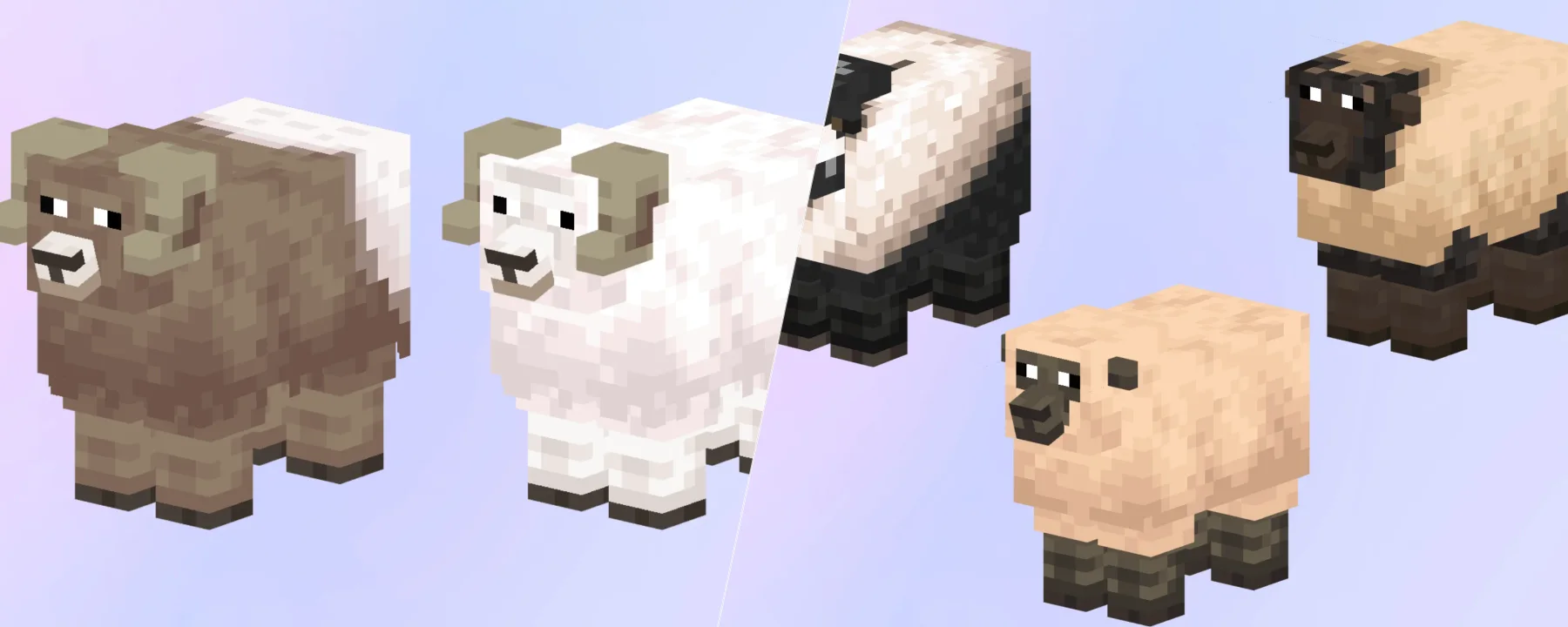 Prettier Sheep — Prettier Sheep screenshots 1–2