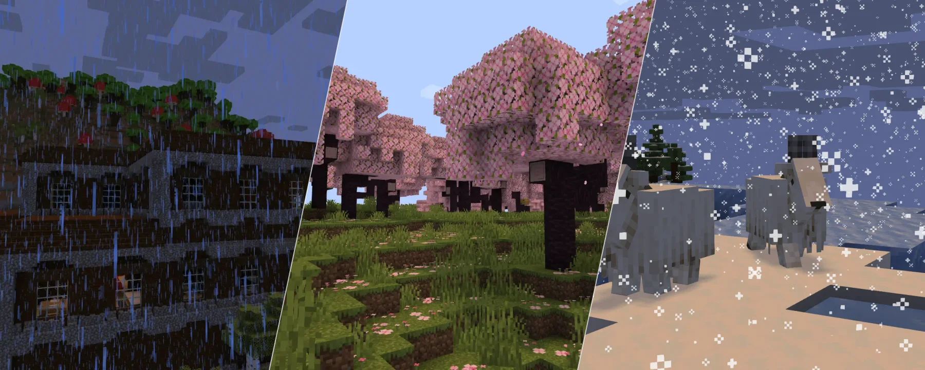 Pumpkin — Pumpkin screenshots 1–3