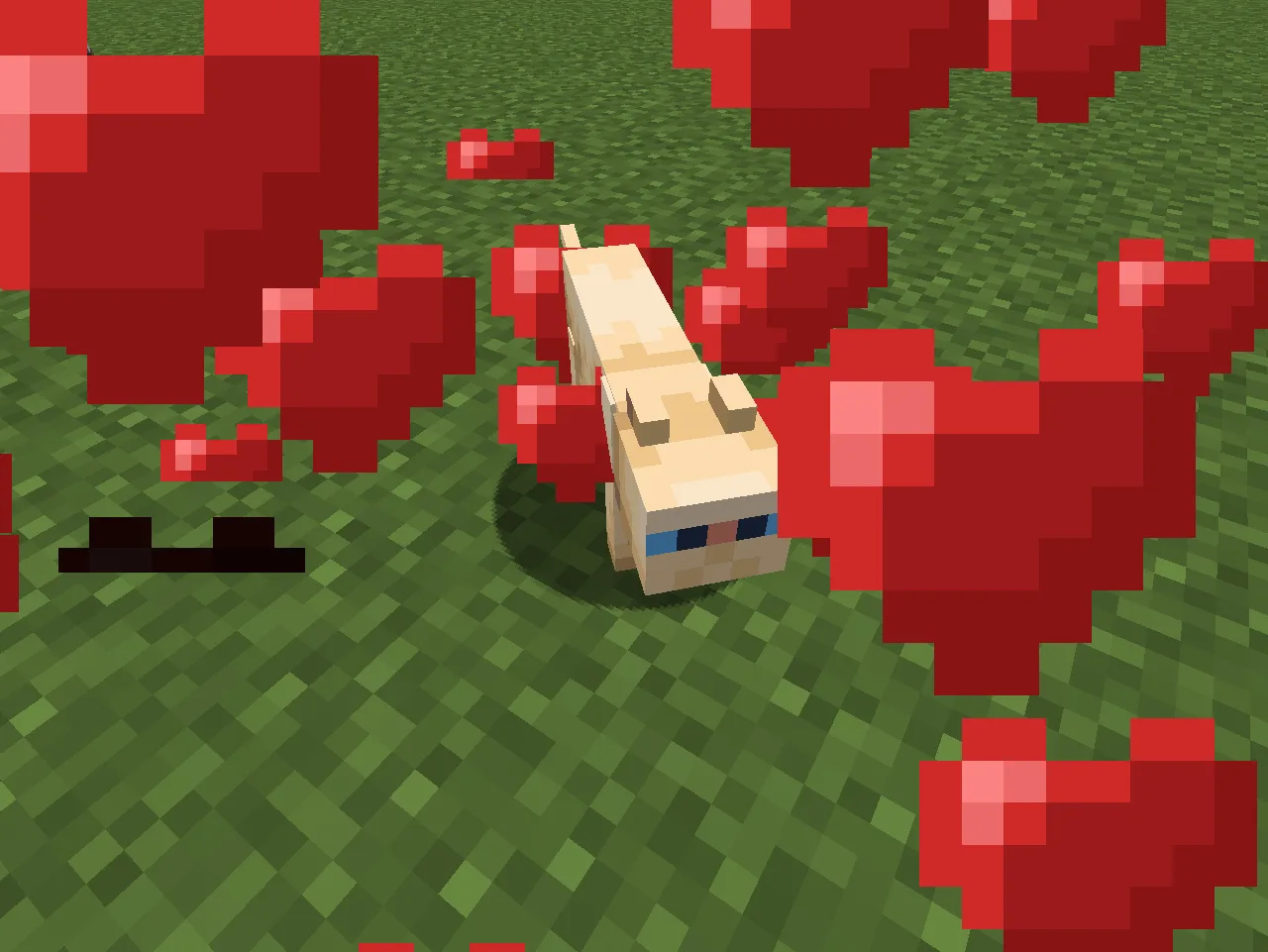 Pet your cat (Data pack Edition) — Example