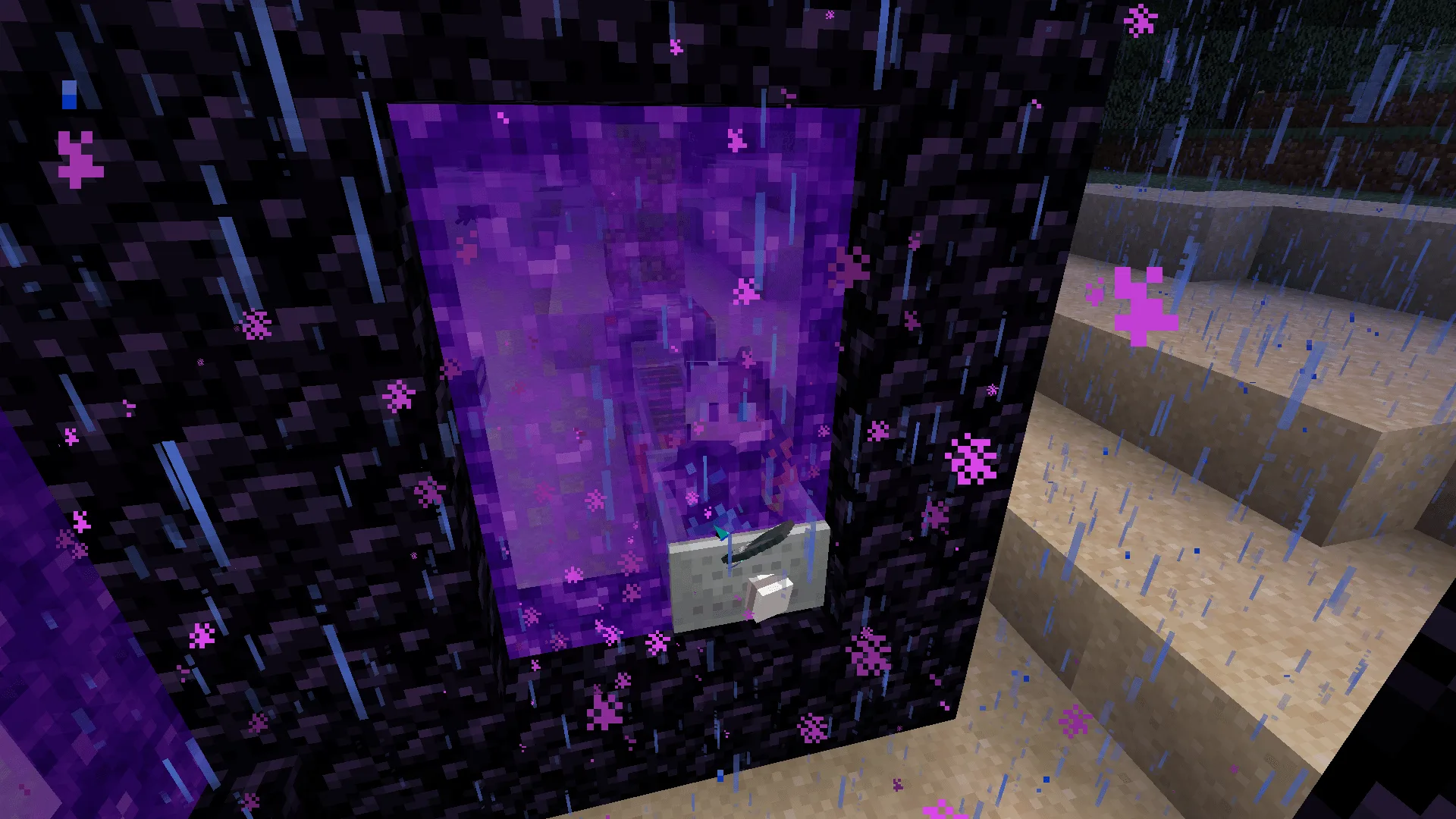 Passengers Portal Fix — Without This Mod