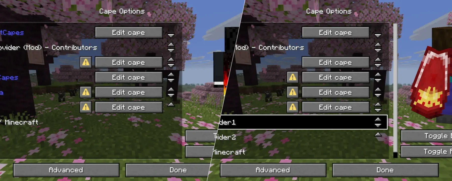Cape Provider — Cape Provider screenshots 1–2