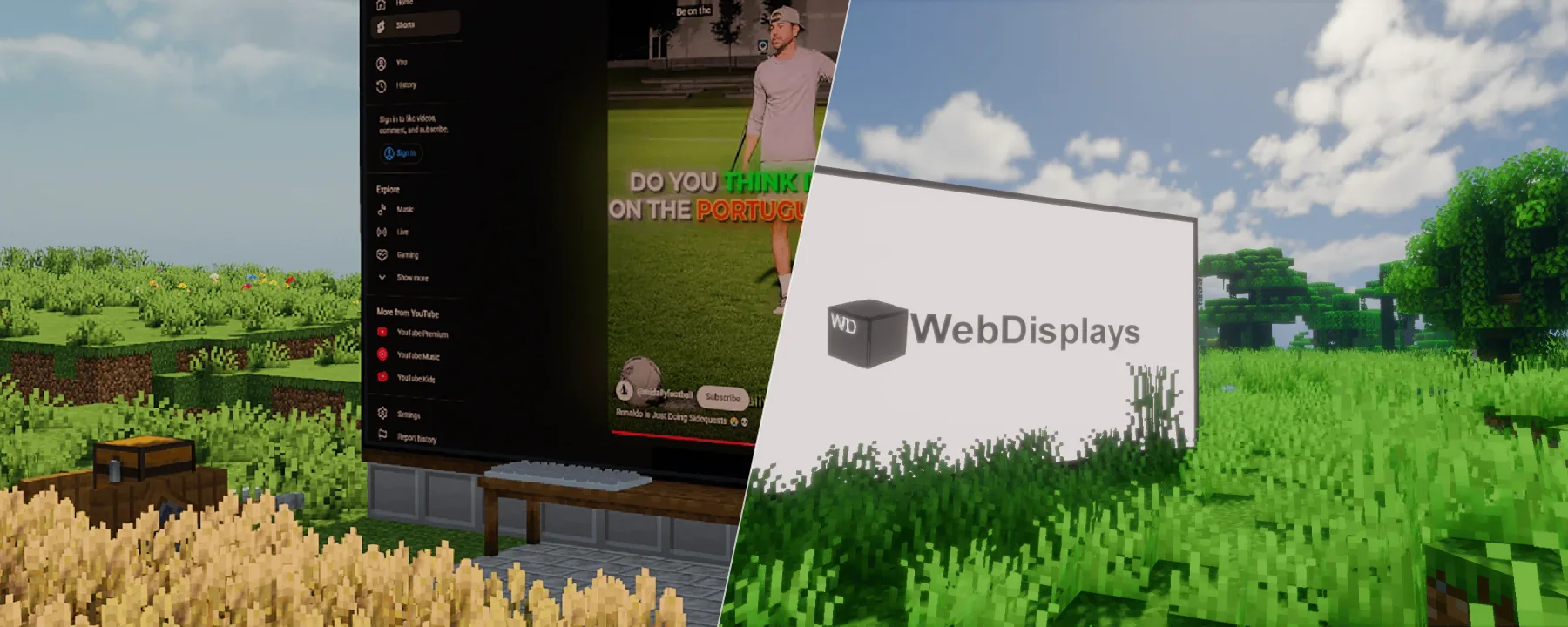 WebDisplays Plus — WebDisplays Plus screenshots 1–2