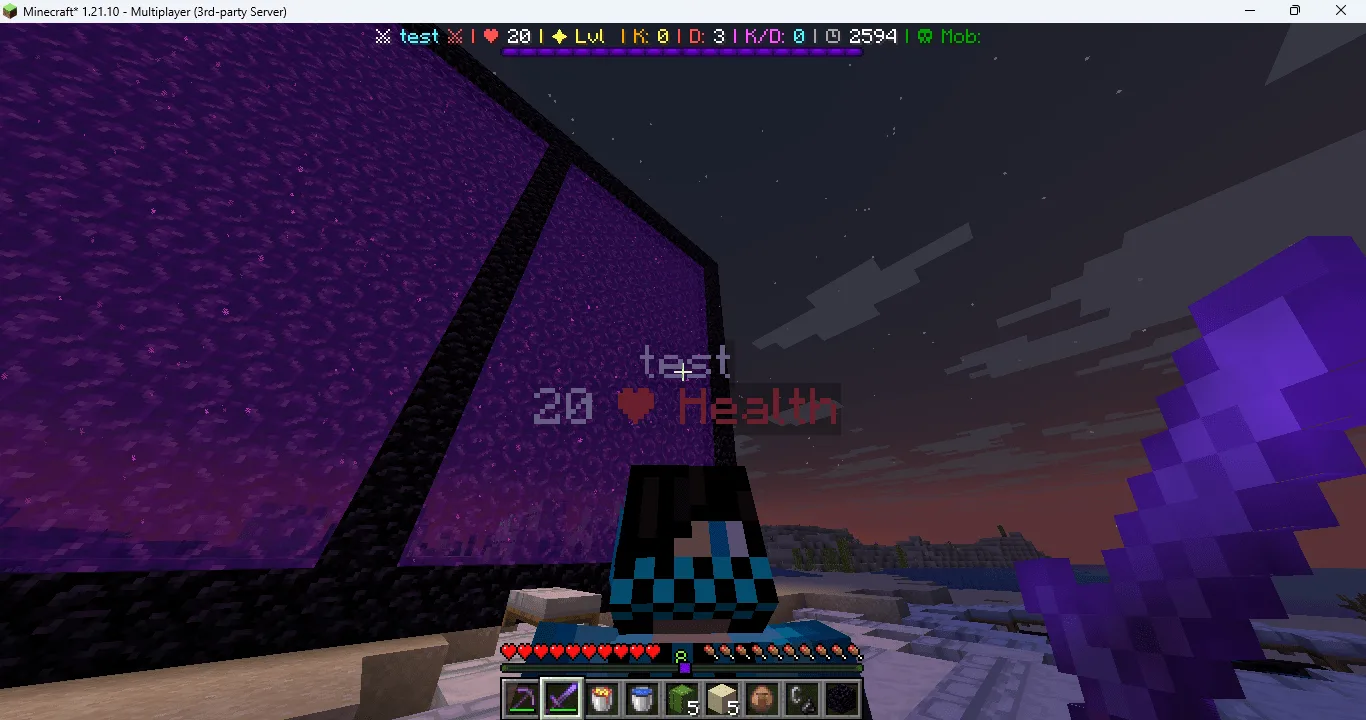 Player Health Display screenshot 1