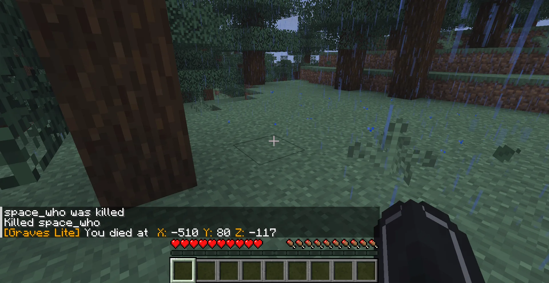 Auto Graves Lite screenshot 1