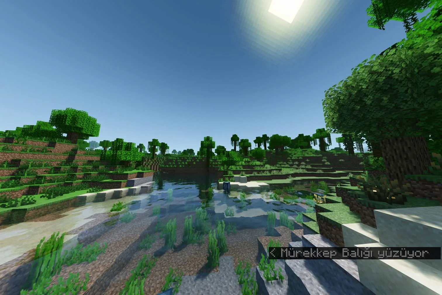 MrAxolot's Shader screenshot 1