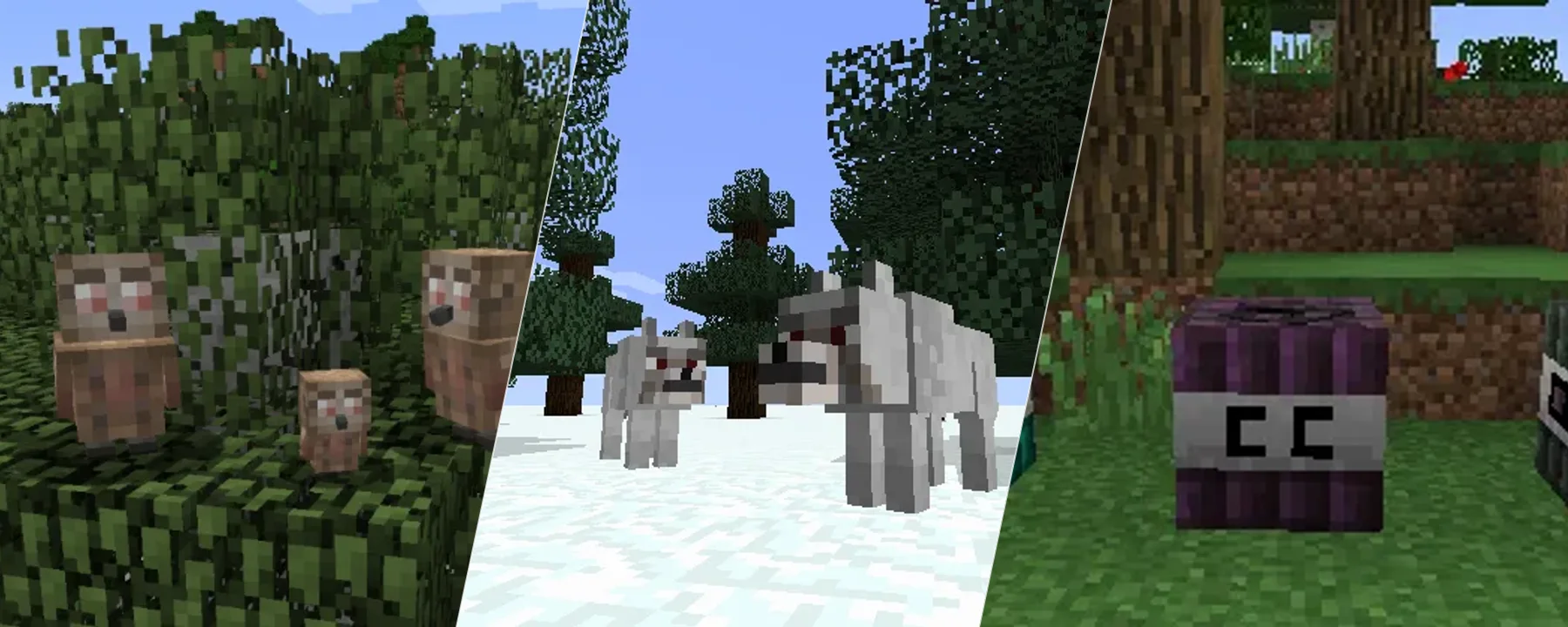 Ender Zoo — Ender Zoo screenshots 1–3