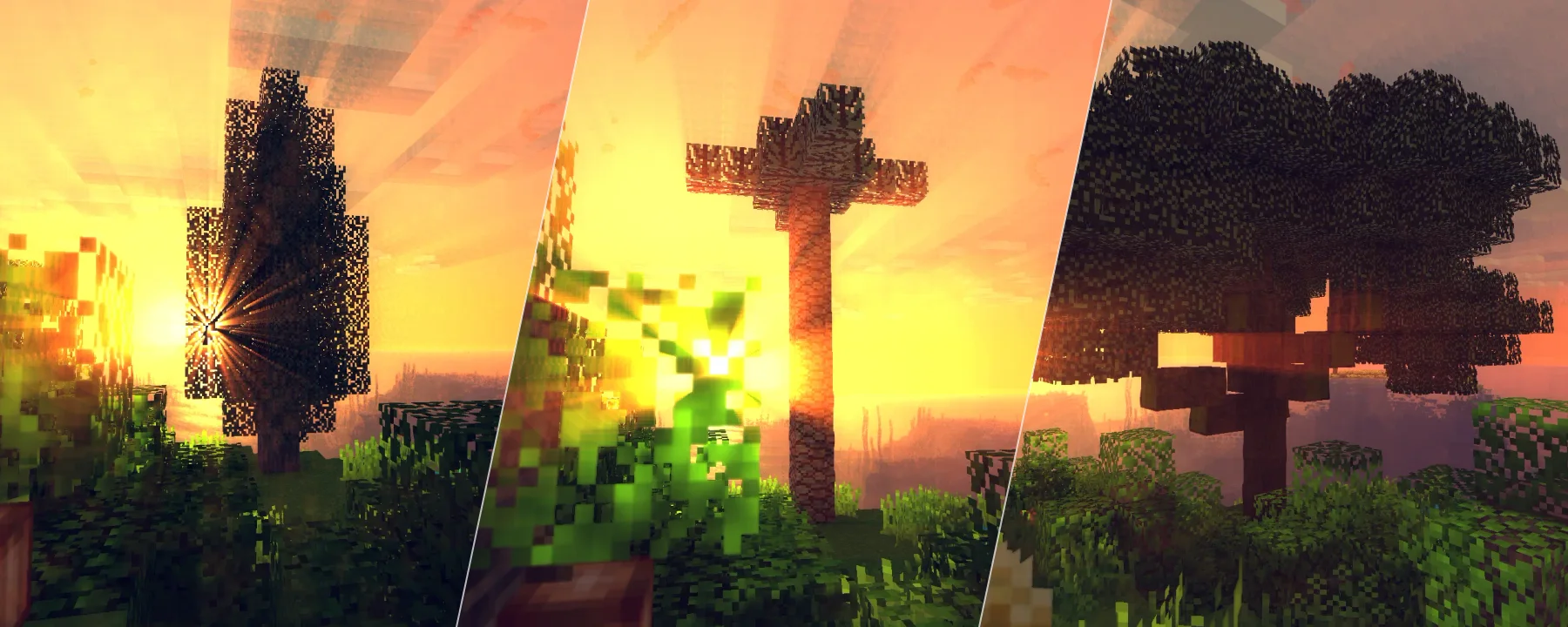 Ancient Trees — Ancient Trees screenshots 1–3