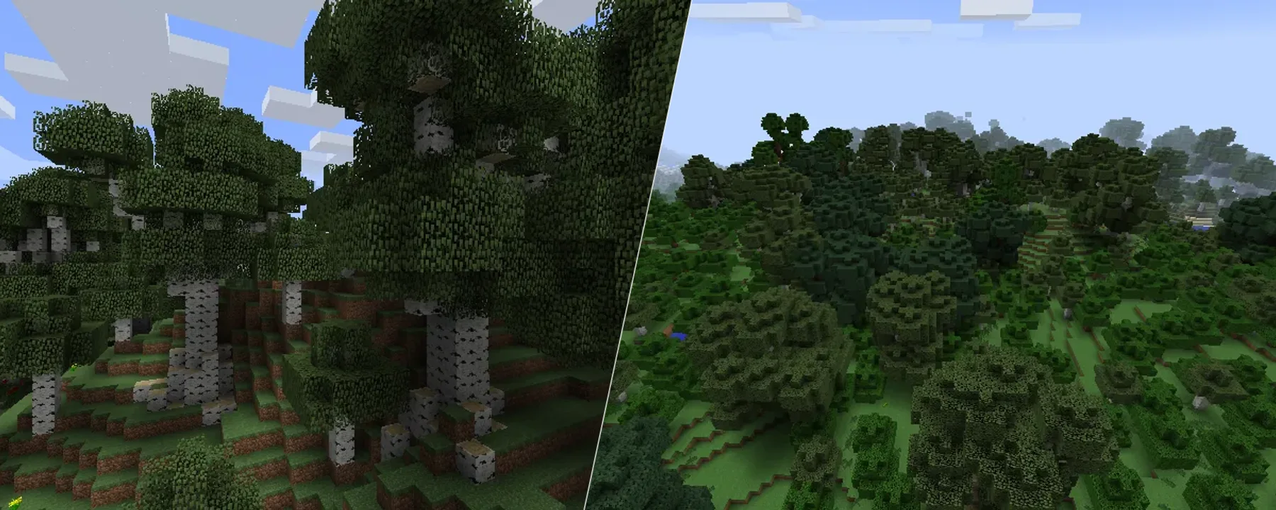 BigTrees — BigTrees screenshots 1–2