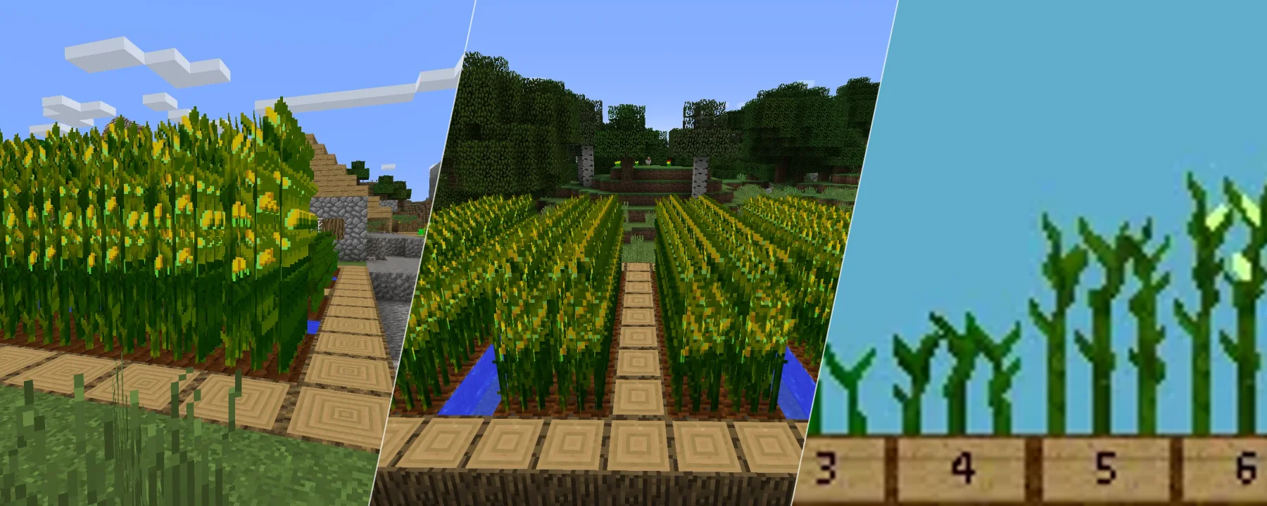 Simple Corn — Simple Corn screenshots 1–3