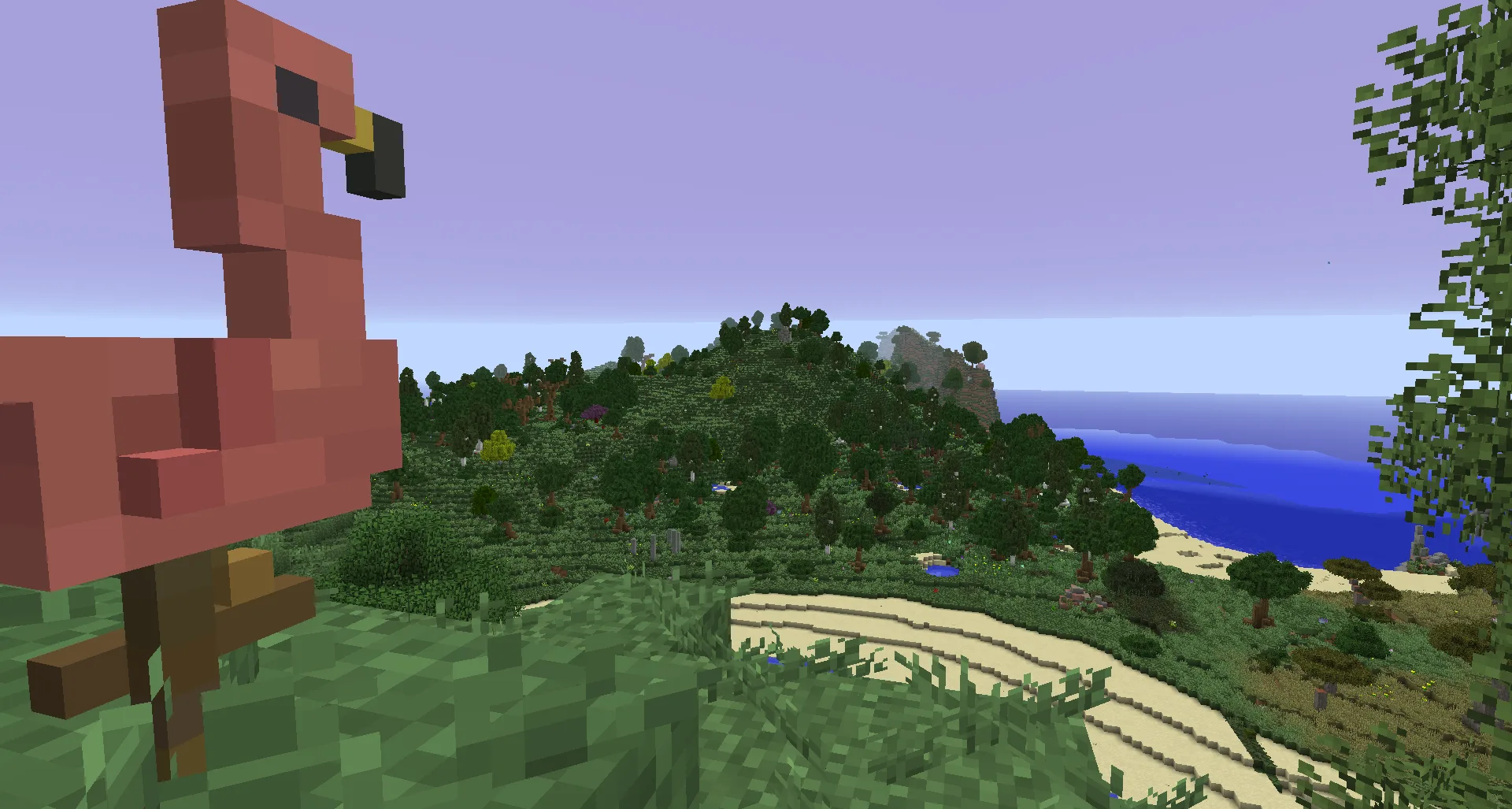 Raxpack 2 — Flamingo Love