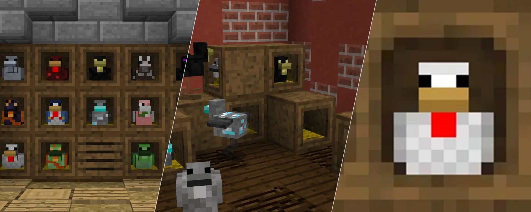 Roost — Roost screenshots 1–3