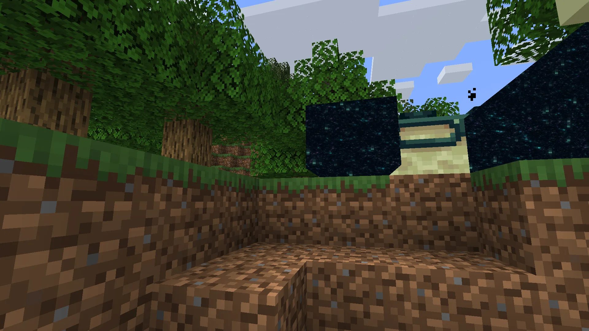 RandomPatches (Forge) — End portal rendering with RandomPatches