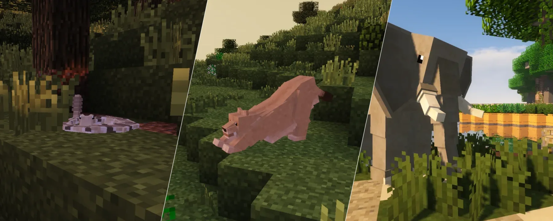 Zoo & Wild Animals Rebuilt : ZAWA — Zoo & Wild Animals Rebuilt : ZAWA screenshots 1–3