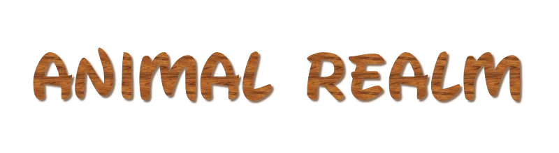 Animal Realm — Animal Realm screenshot