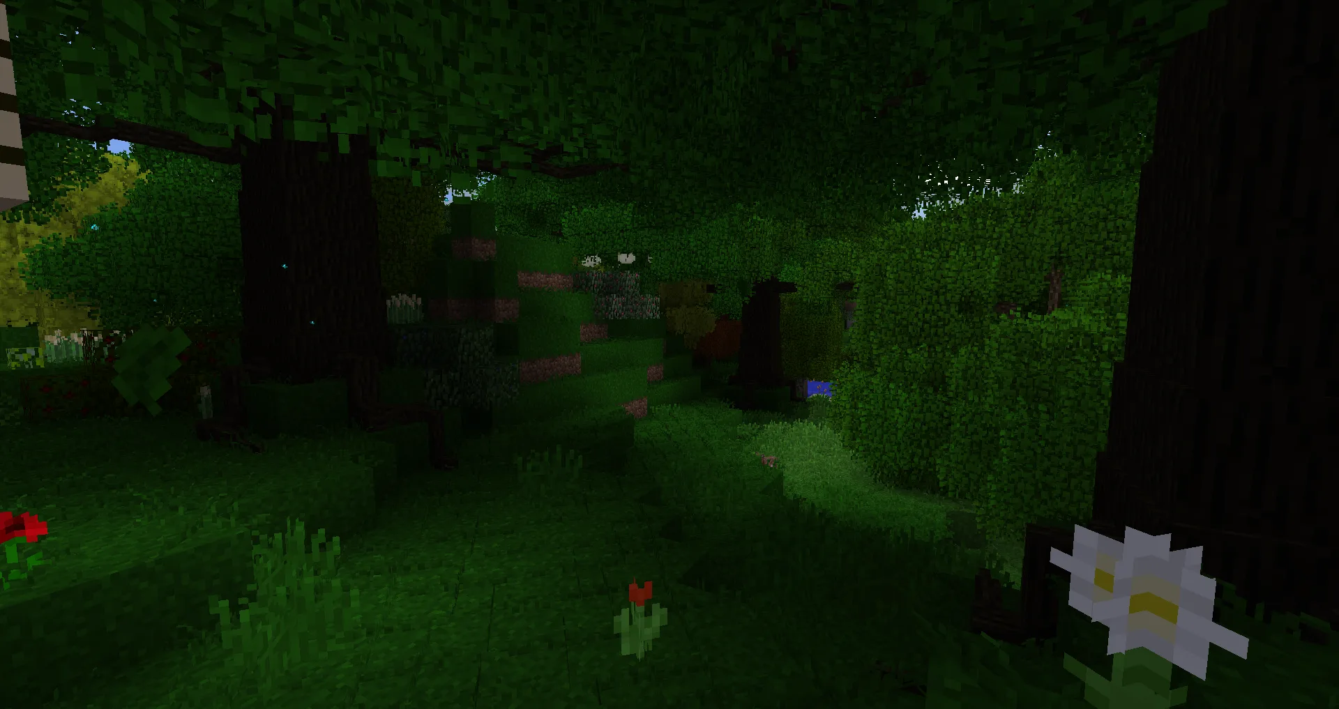 Furry Forestry 2 — The day
