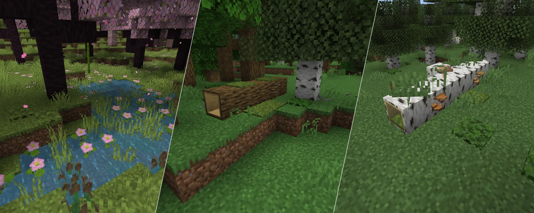 Project: Vibrant Journeys — Project: Vibrant Journeys screenshots 1–3