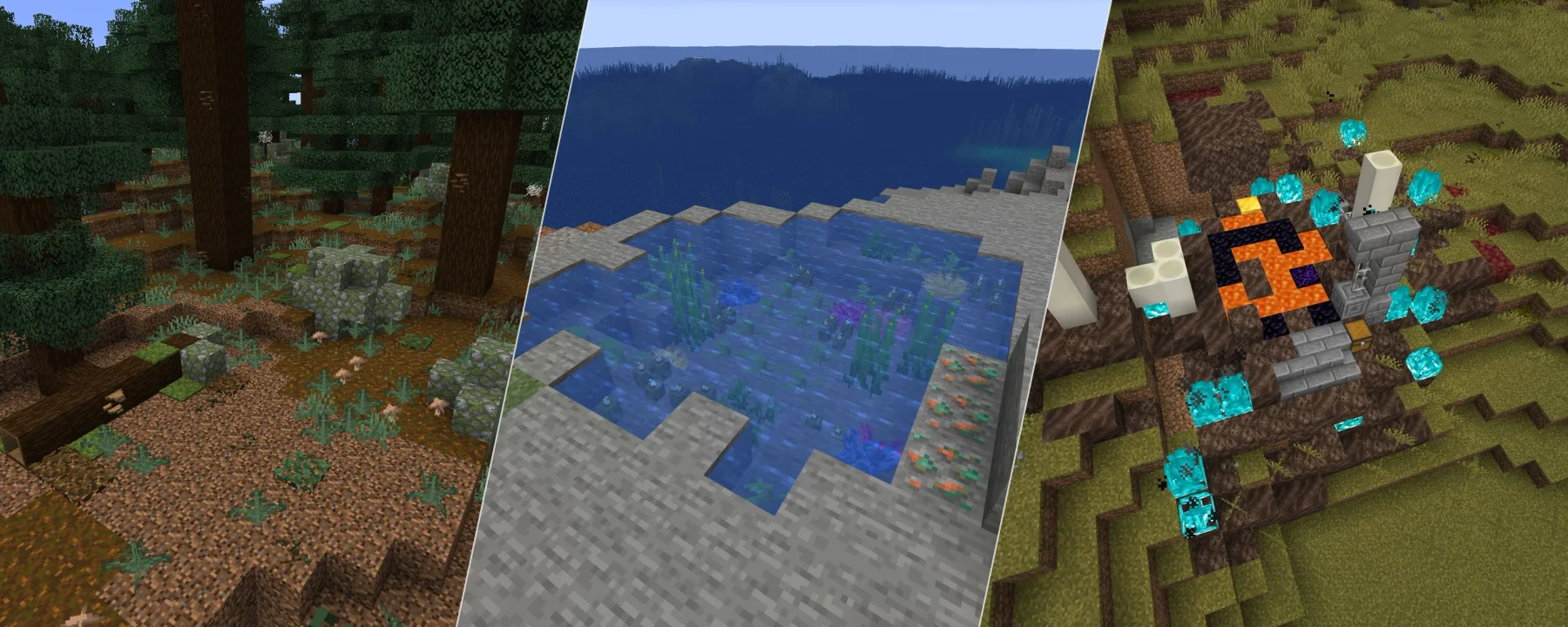Project: Vibrant Journeys — Project: Vibrant Journeys screenshots 4–6