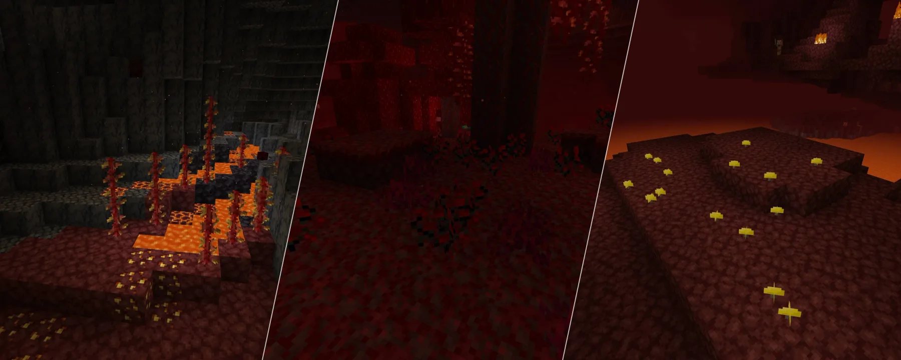 Project: Vibrant Journeys — Project: Vibrant Journeys screenshots 10–12