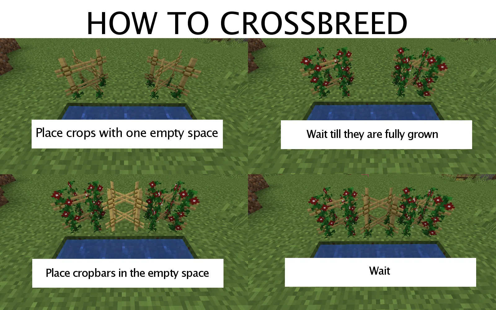 PlantTech 2 — HOW TO CROSSBREED