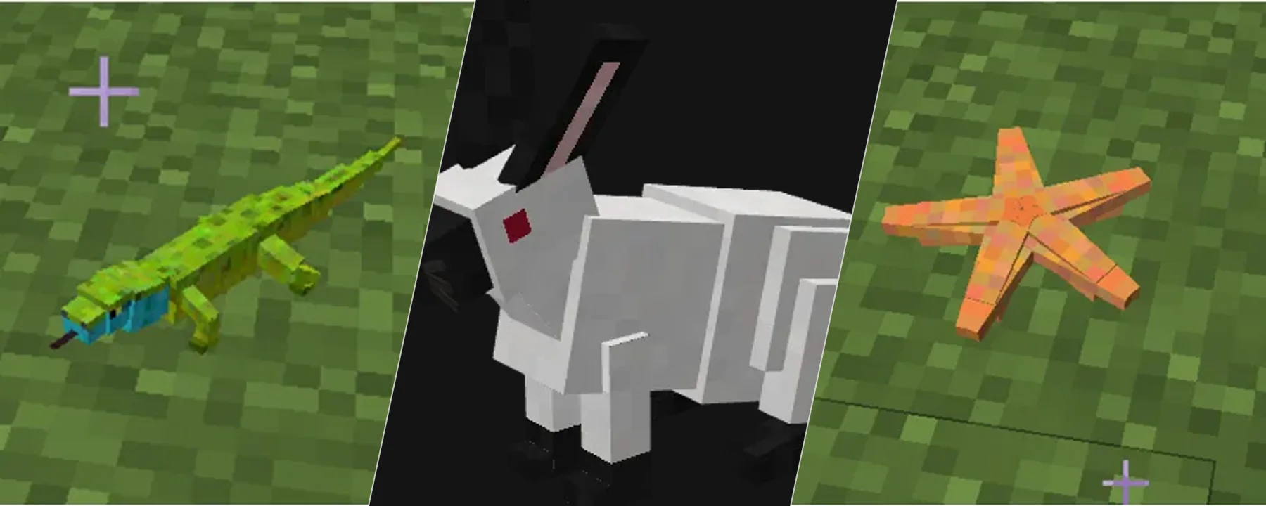 Wizard's Animals — Wizard's Animals screenshots 1–3