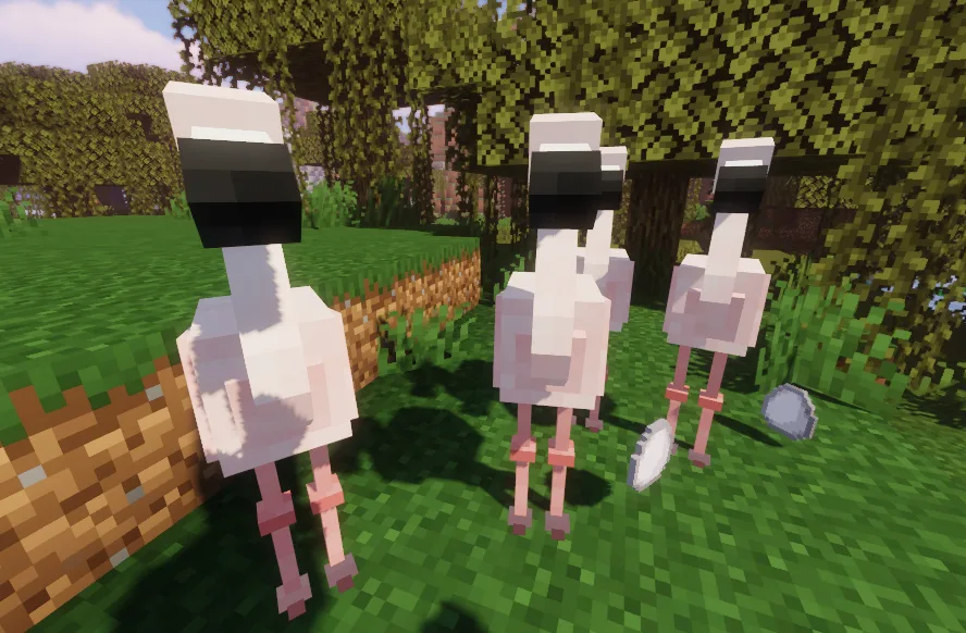 Flamingo, oh, oh, oh... — The council will decide your fate